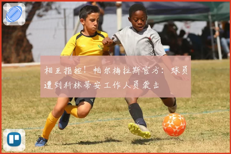 相互指控!帕尔梅拉斯官方:球员遭到科林蒂安工作人员袭击