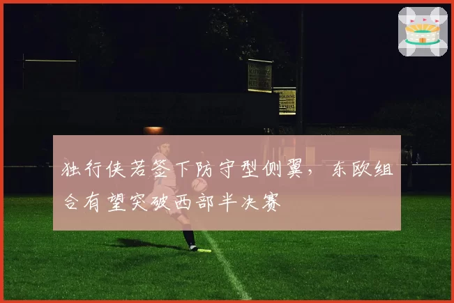 独行侠若签下防守型侧翼，东欧组合有望突破西部半决赛